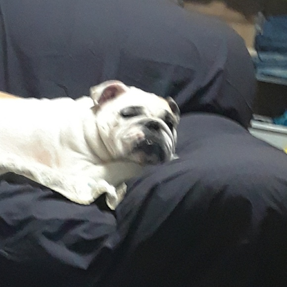 Meet your Posher, Richele - Picture 1 of 1